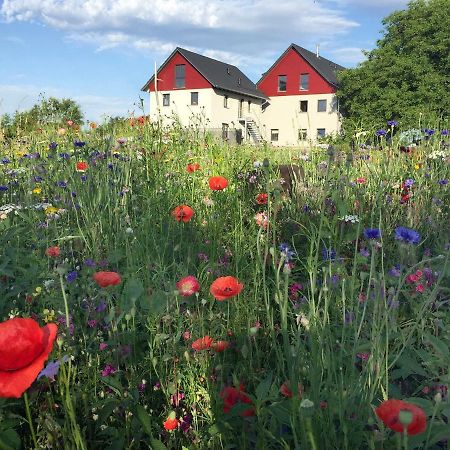 Ferienwohnung Bienenhaeusle In Gruenkraut / Ravensburg Grunkraut Esterno foto